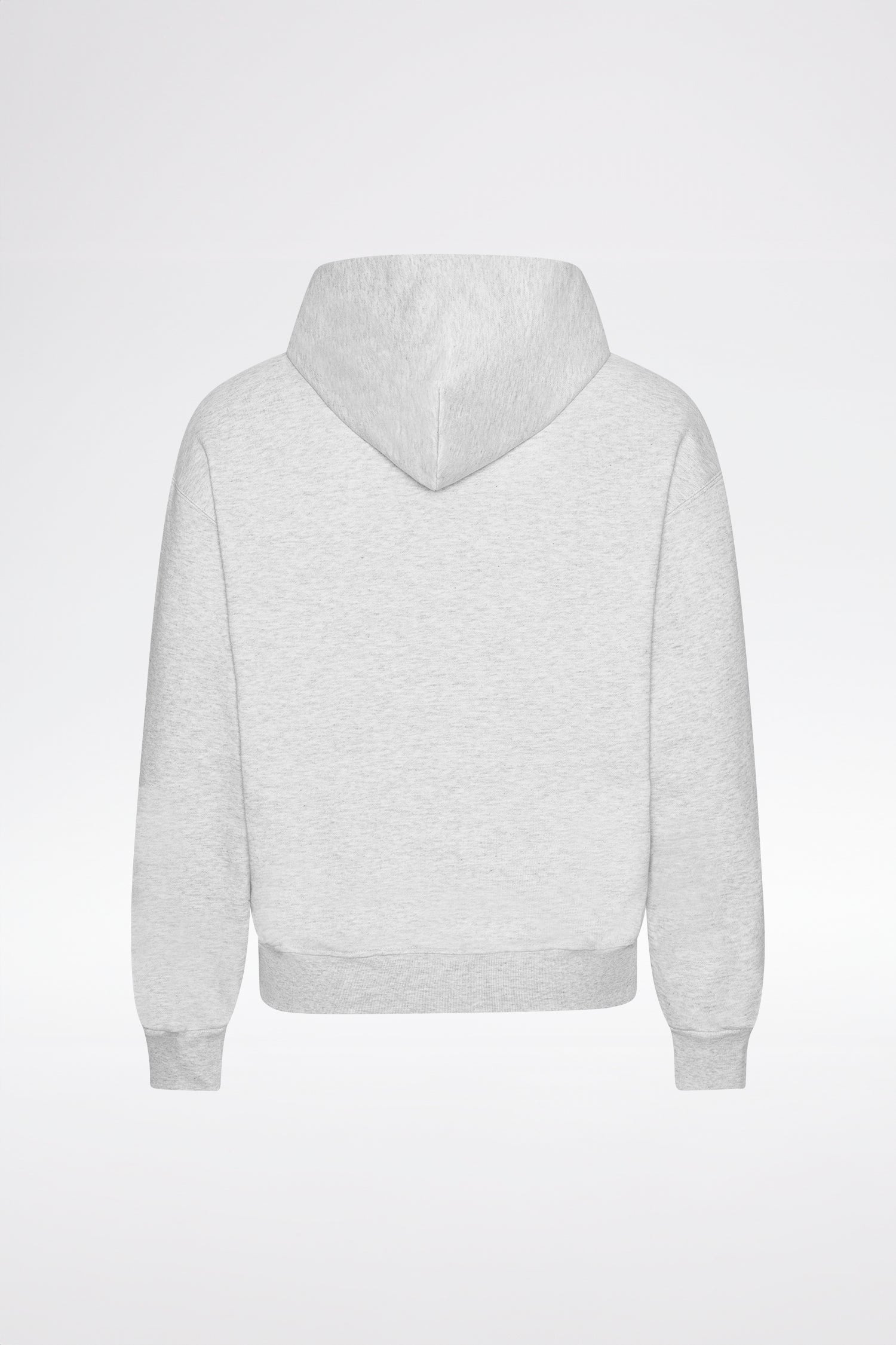 LOST BOYS LBA-TAG ZIP HOODIE Sweat Gray