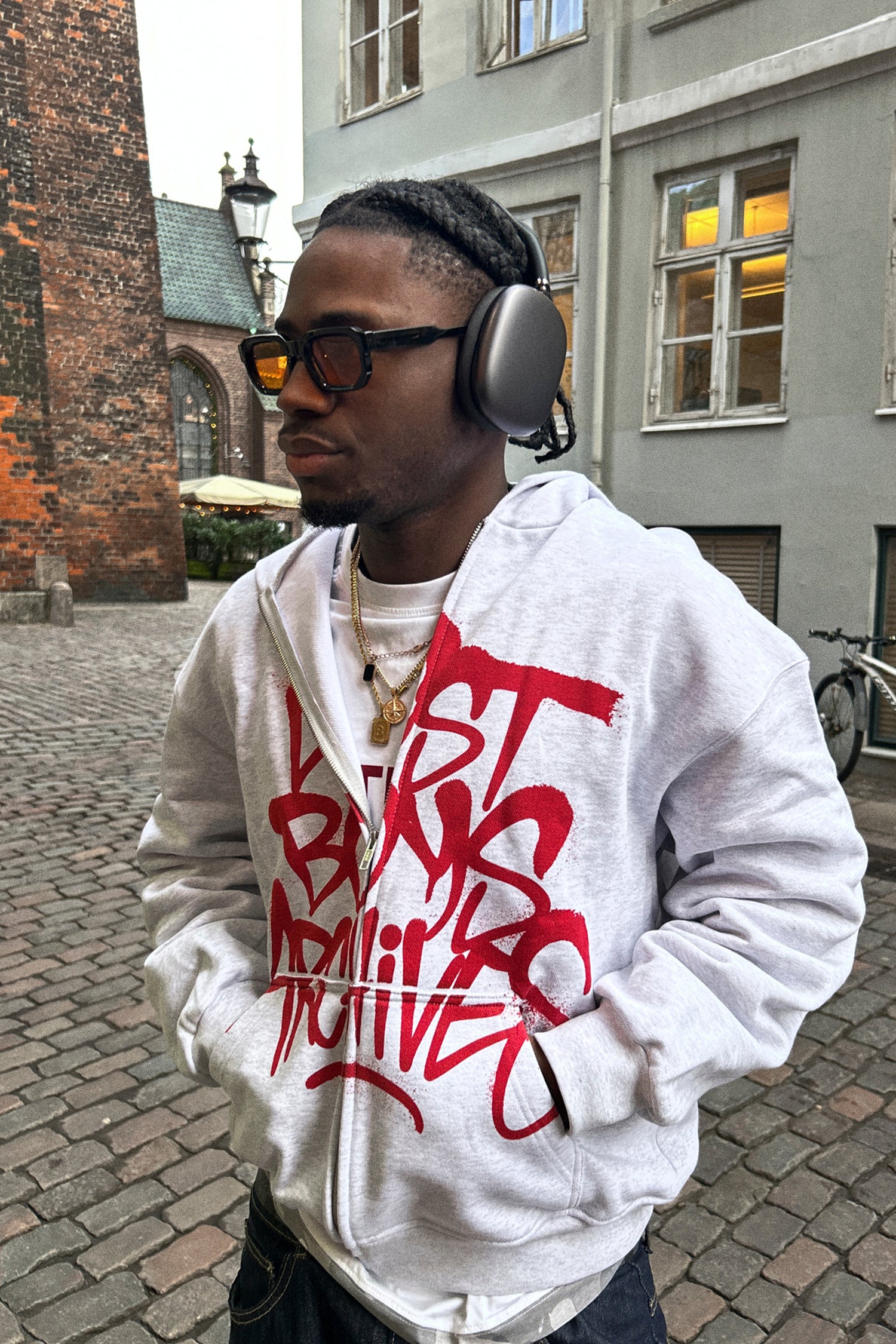 LOST BOYS LBA-TAG ZIP HOODIE Sweat Gray