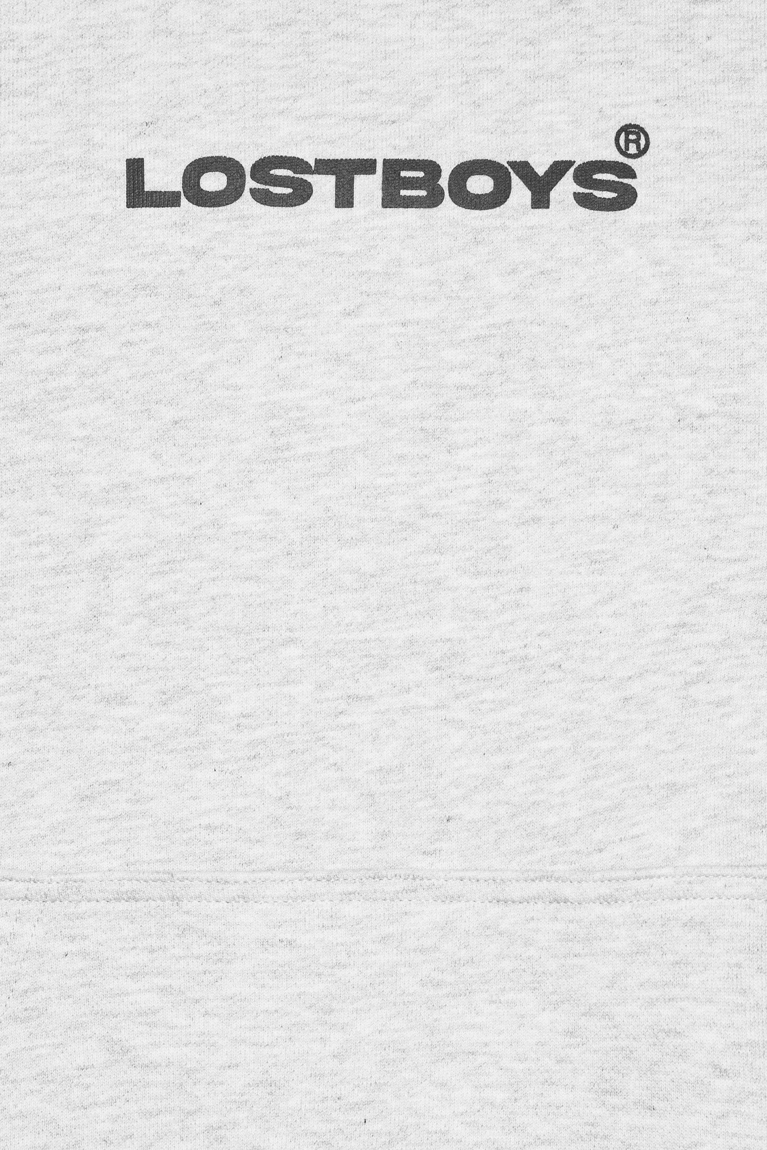 LOST BOYS LOST AT THE RODEO HOODIE Sweat Gray