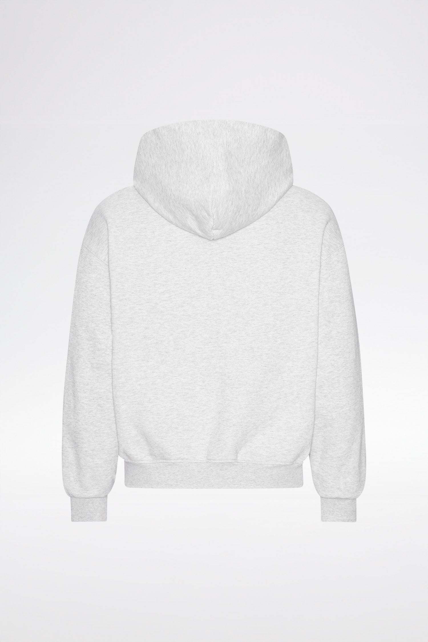 LOST BOYS TRUST NO ONE ZIP HOODIE Sweat Gray